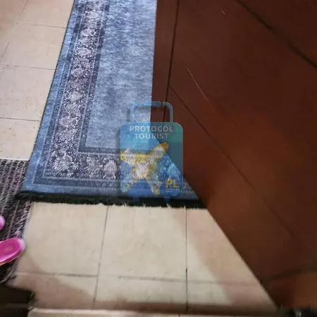 3+1 No 28 Floor4 C4 _ Protocol